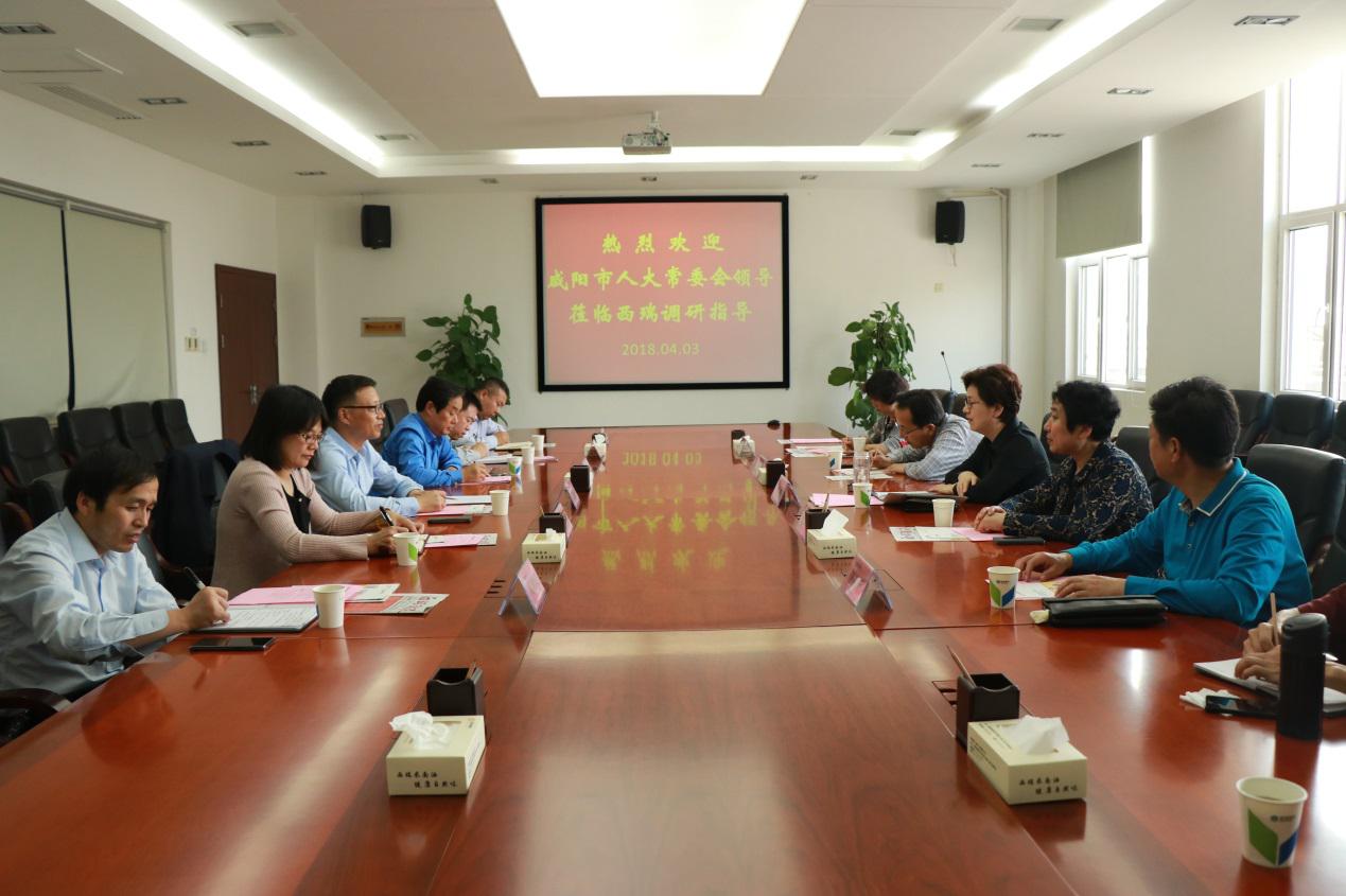 咸陽(yáng)市人大黨組副書記、副主任肖芳到西瑞集團(tuán)考察調(diào)研