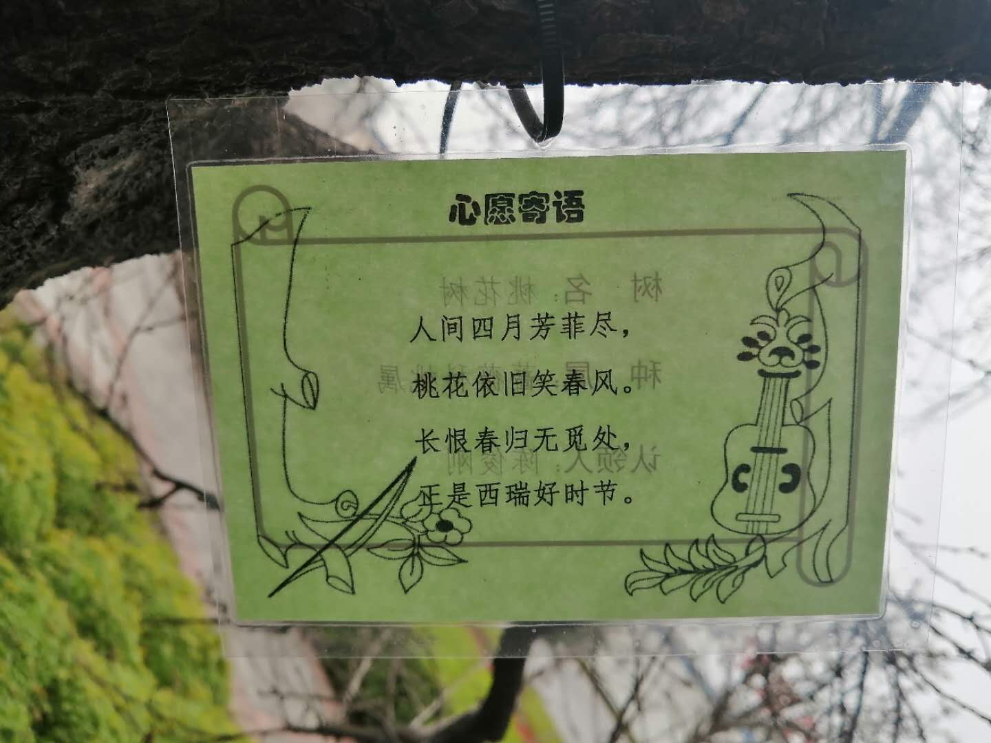 29c039f3305df3116764b5eb4c9f79b.jpg 29c039f3305df3116764b5eb4c9f79b.jpg