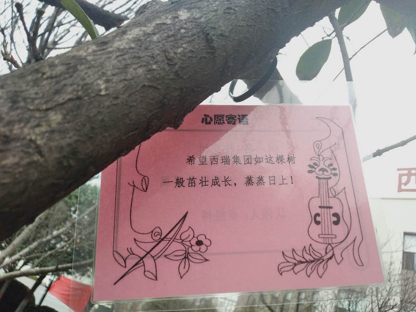 02db492a66f58ac3a19efff0db9cd43.jpg 02db492a66f58ac3a19efff0db9cd43.jpg